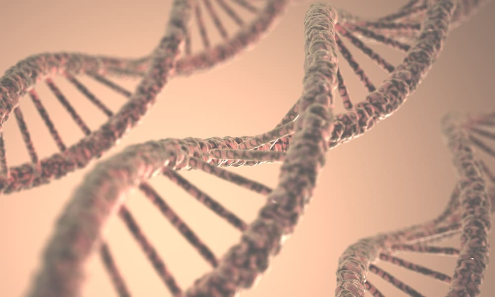 Cómo ayuda la Biología Molecular y Genética a prevenir