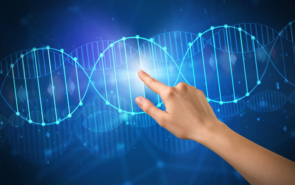 Qué enseña la Biología Molecular y Genética sobre el ADN