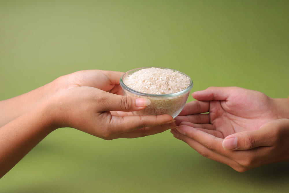 Por qué el arroz estadounidense es una fuente importante de minerales